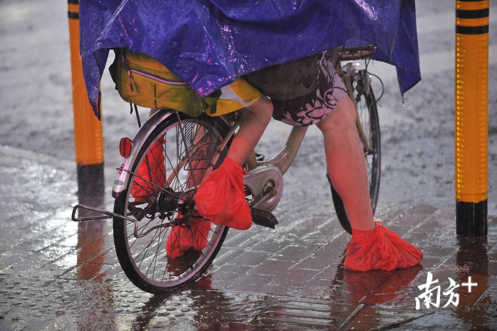 图说佛山|暴雨惊扰回家路,风雨中你的臂膀是最坚实的依靠