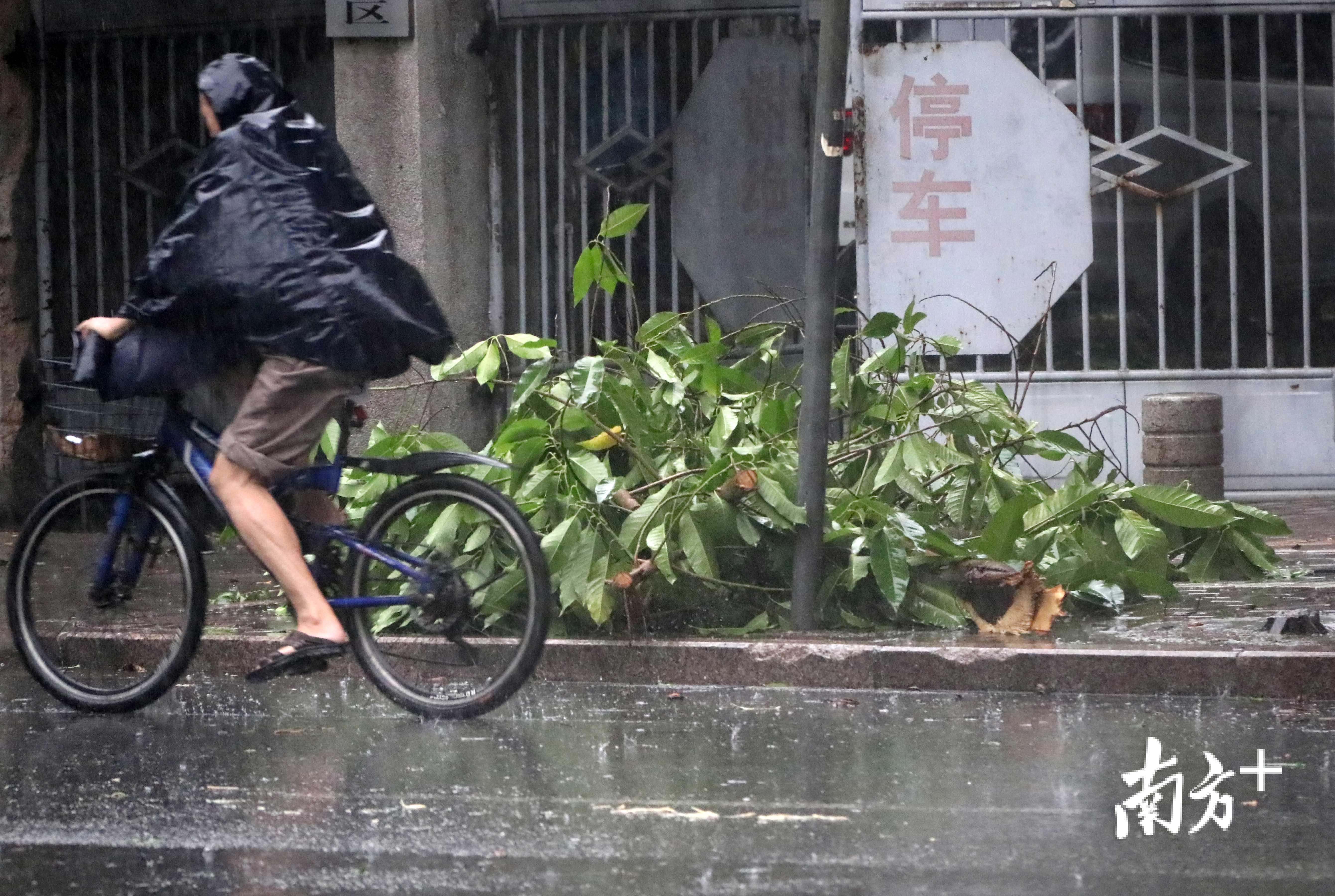 9月16日早上8时许,在汕头长平路金环路段,市民顶风冒雨艰难出行.