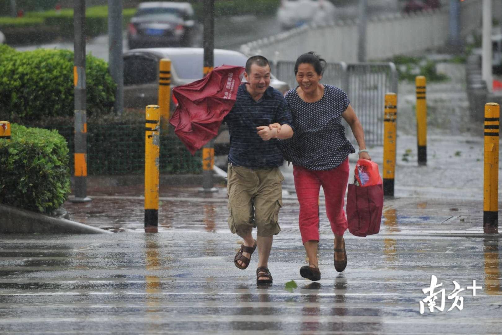 一对夫妻在风雨中行走南方日报记者 戴嘉信 摄