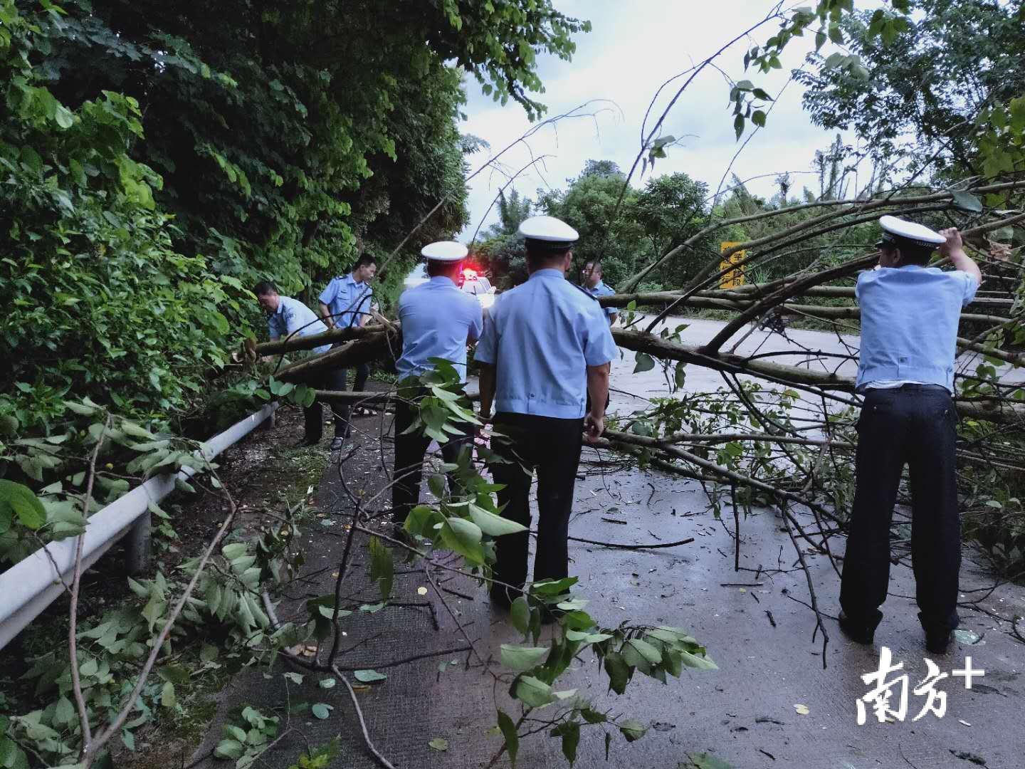 清除路障。 清除路障。