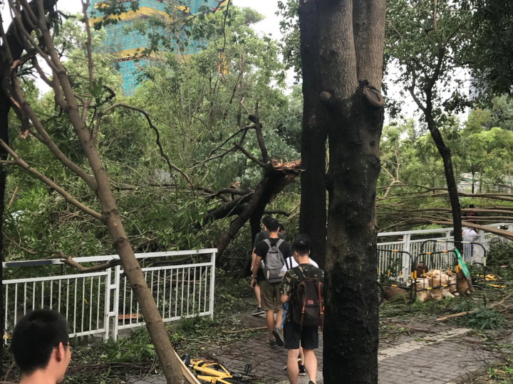 侨城北地铁站D出口