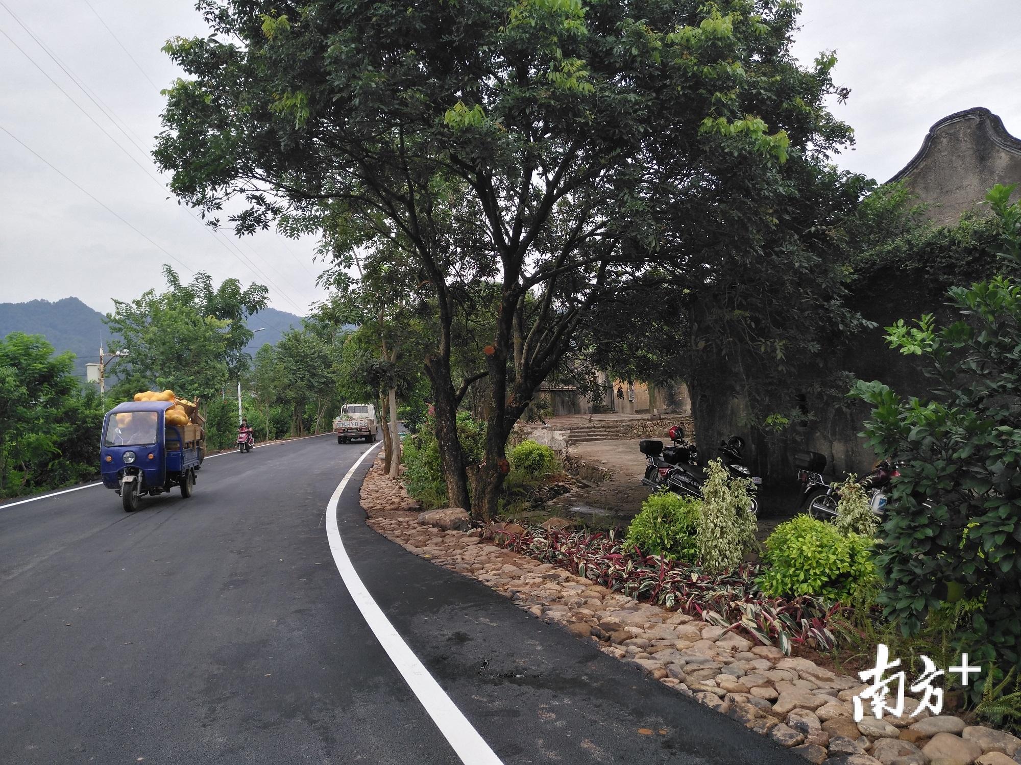 干净整洁的村道。