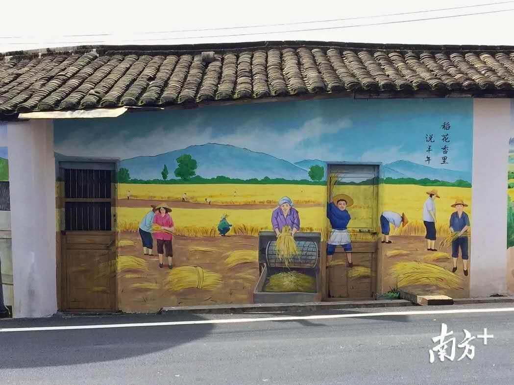 稻花香里说丰年。