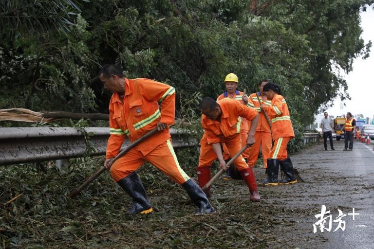      龙华区城管工作人员在对倒伏的树木进行清理，尽快恢复交通畅顺。
