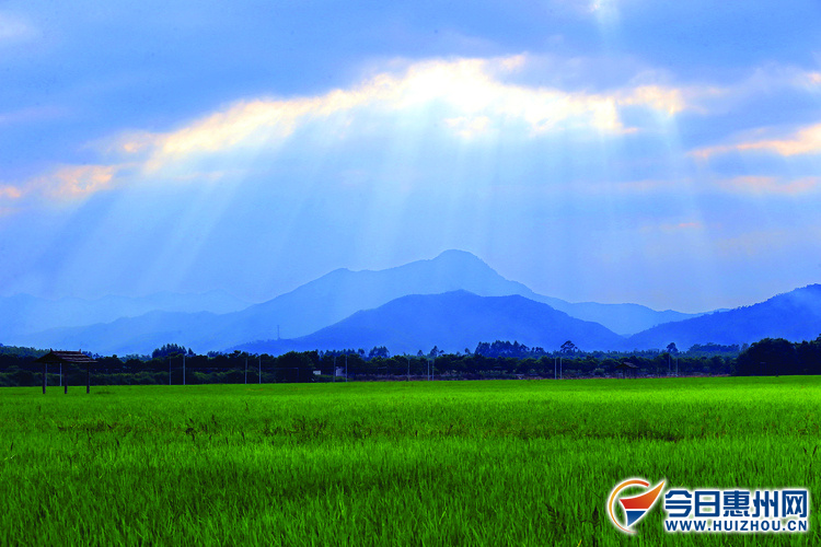 陂头神村的“田园课堂”项目，供家长孩子参观学习农业知识，亲身体验农耕过程。
