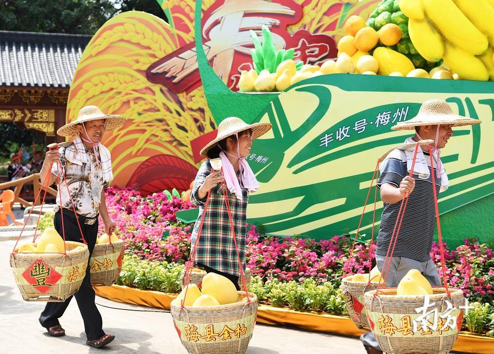 大黄村柚农将柚子挑上全国舞台。