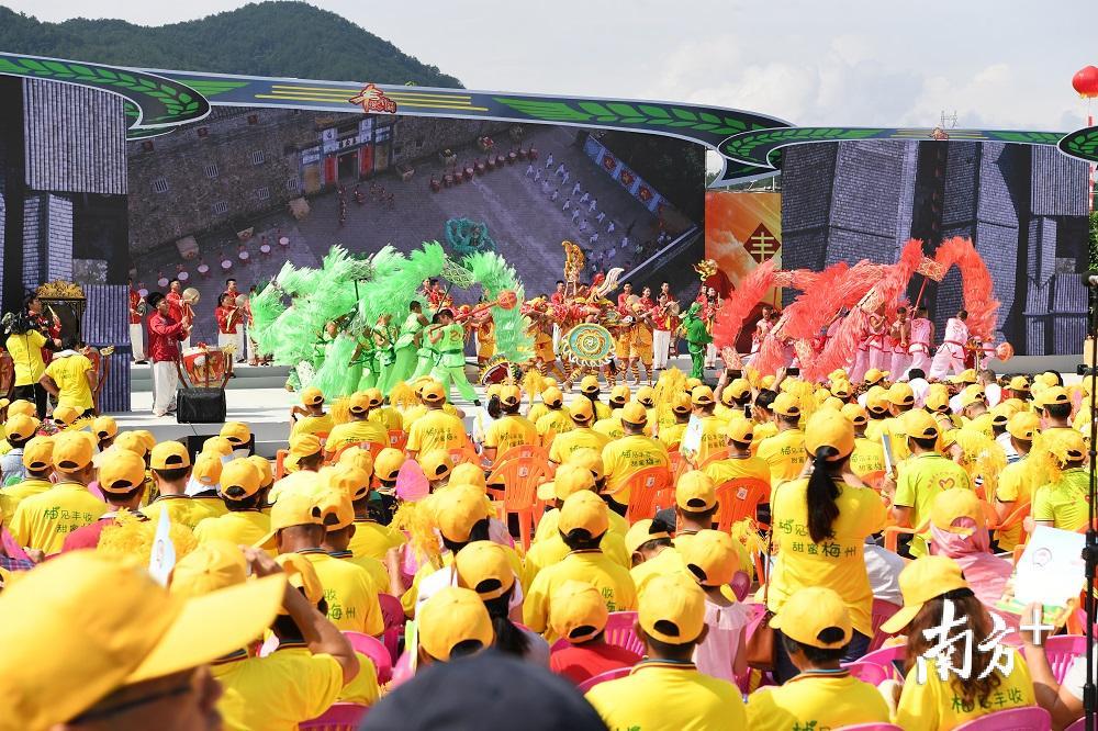 农民丰收节活动现场，省级非物质文化遗产项目大埔花环龙表演。