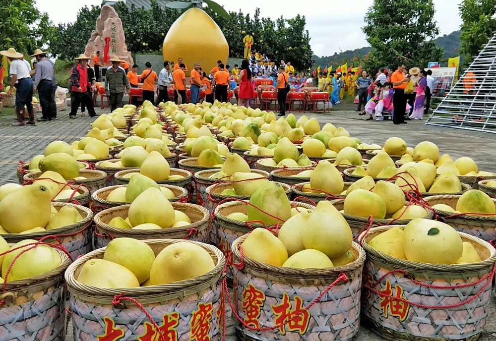 (刘招迎 摄) (刘招迎 摄)