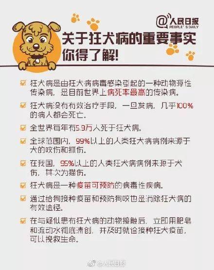 犬病治疗:宠物健康守护者的最新进展