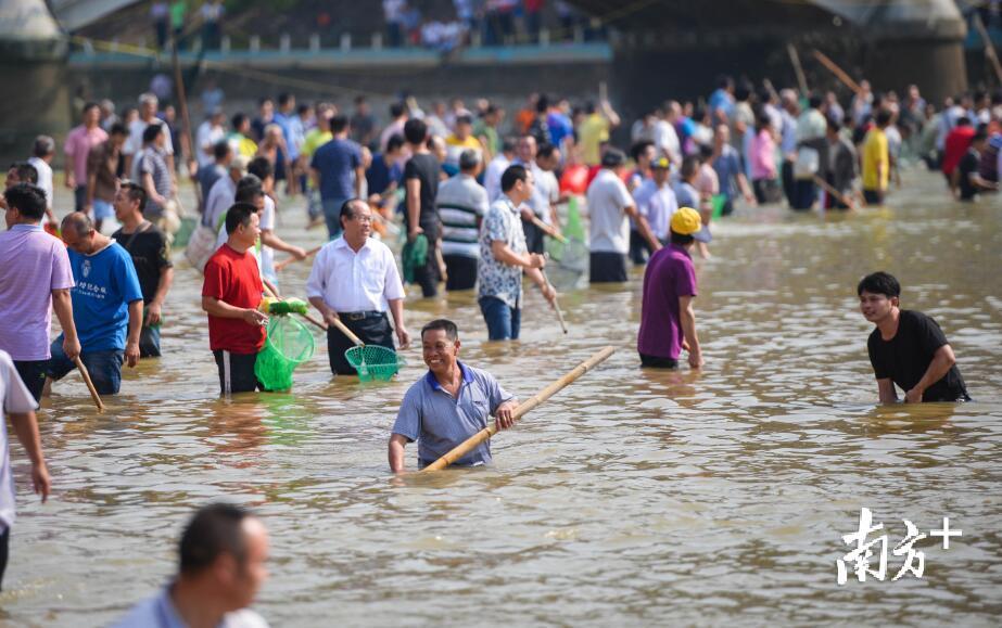数万名游客和群众齐聚在连南瑶族自治县三江河体验捉鱼乐。 南方全媒体记者 曾亮超 摄