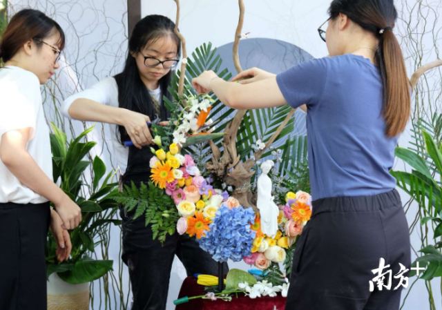 广州百名花艺爱好者制作插花作品为祖国庆生 南方plus 南方 广州百名花艺爱好者制作插花作品为祖国庆生 南方plus 南方