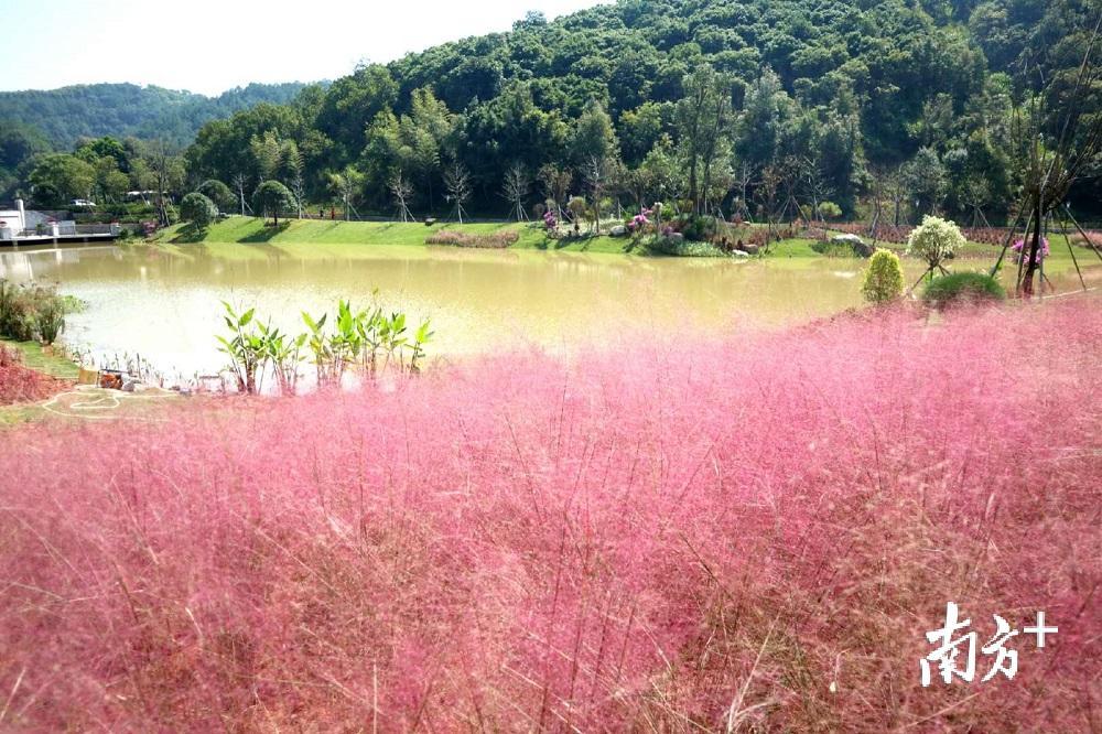 雁山湖。 雁山湖。