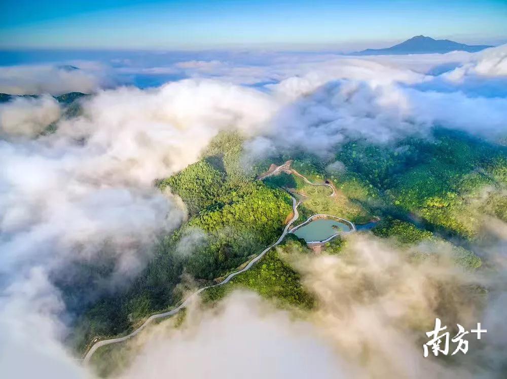 袁群华 摄 袁群华 摄