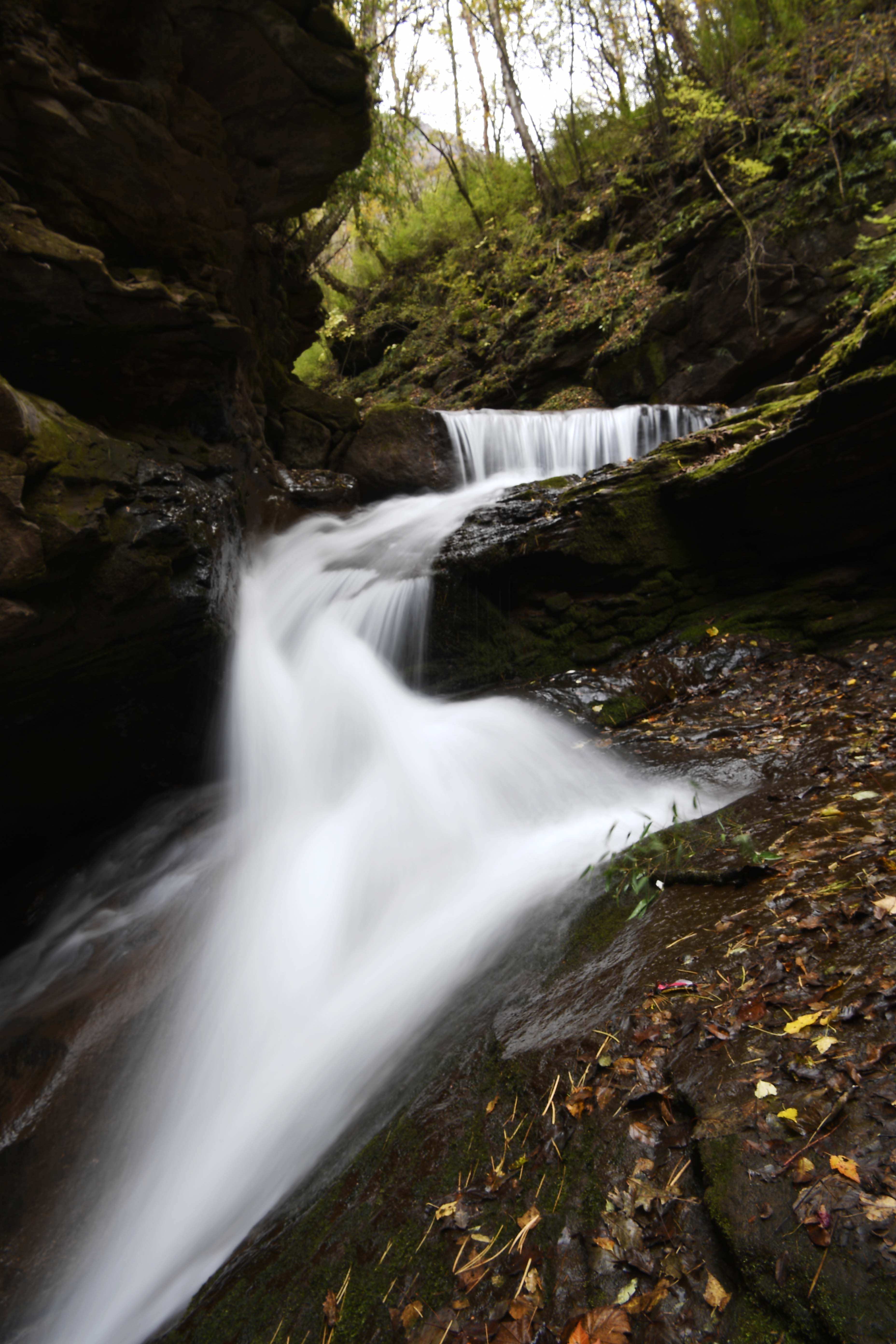 这是六盘山国家森林公园秋色(10月5日摄).