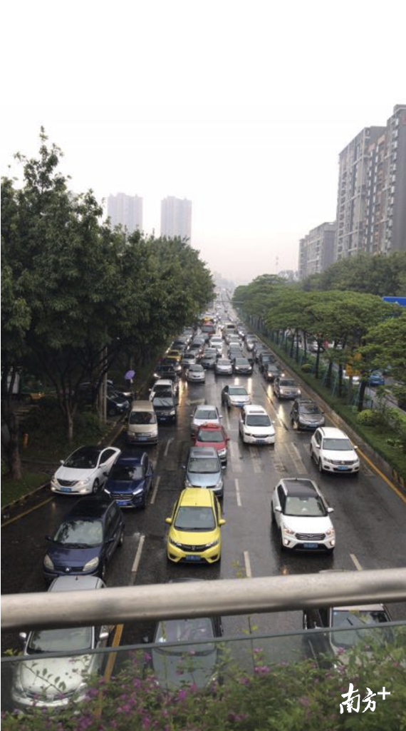 桂平西路受影响拥堵严重。南方+记者 李慧君 摄 桂平西路受影响拥堵严重。南方+记者 李慧君 摄
