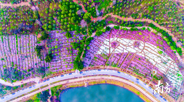 西樵镇积极发展文化旅游产业，在森林生态旅游建设方面，以西樵山等生态旅游场所为依托，打造西樵品牌。