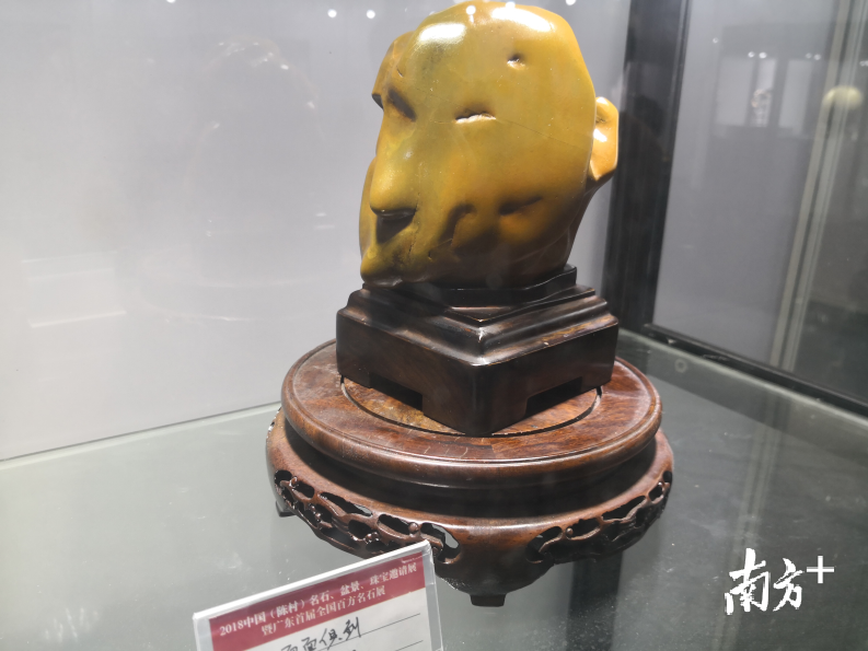 展品：面面俱到