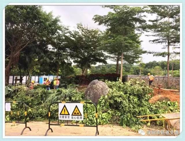市政园林工程——为城市增绿添彩的新篇章