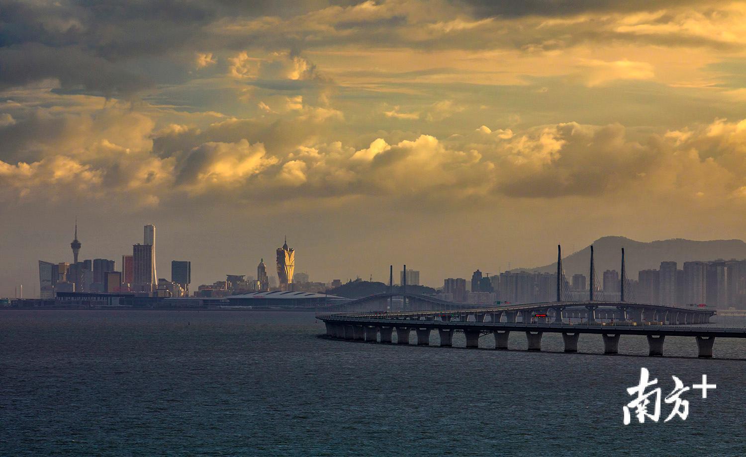 △傍晚时分，天空一片金黄，港珠澳大桥旁的澳门地标建筑熠熠生辉。