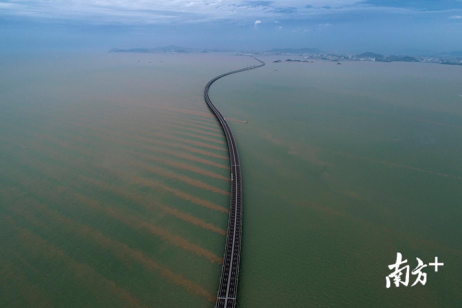 △退潮时，海水在港珠澳大桥的桥墩上拉出一道道红色的浑水。