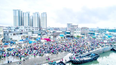 神泉港鱼市交易活跃,一派繁忙。郑楚藩 摄 神泉港鱼市交易活跃,一派繁忙。郑楚藩 摄