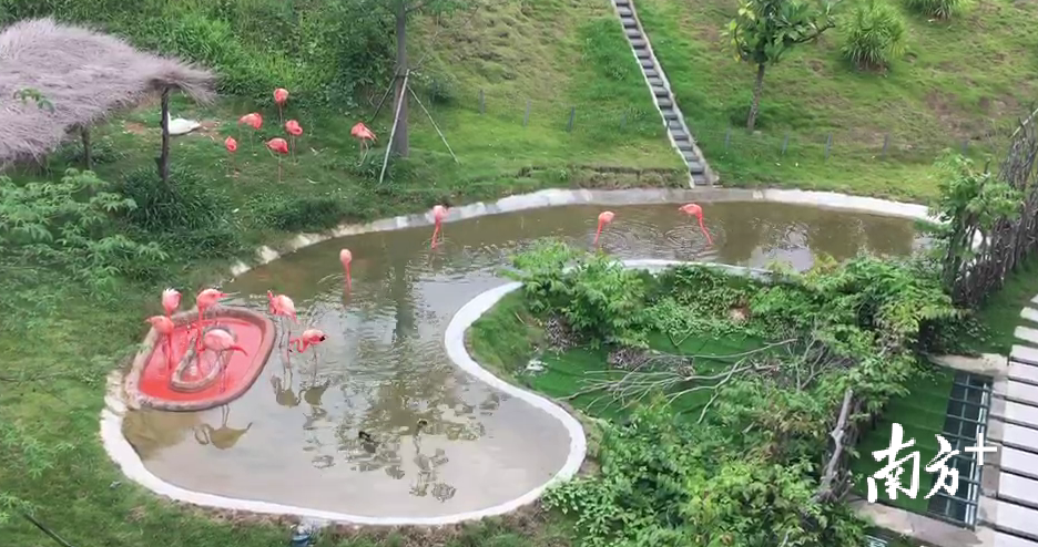 大鹏新区内国家基因库