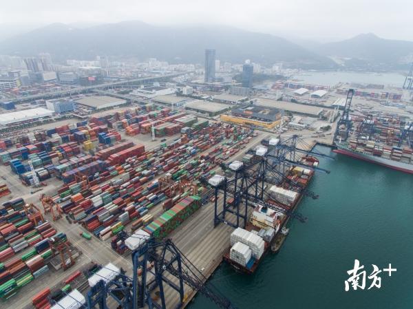  重大项目加速跑！盐田上半年实现地区生产总值324.25亿元