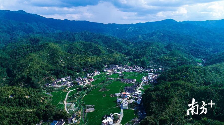 青溪镇计划打造红绿相融的生态旅游型森林小镇。（丘佳纳 摄）