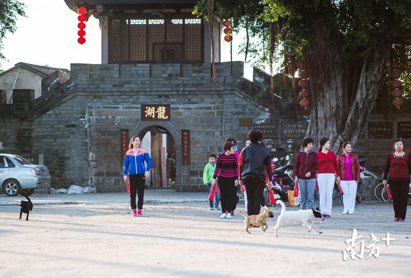 龙湖古寨是“广东省文物保护单位”“广东十大最美古村落”。