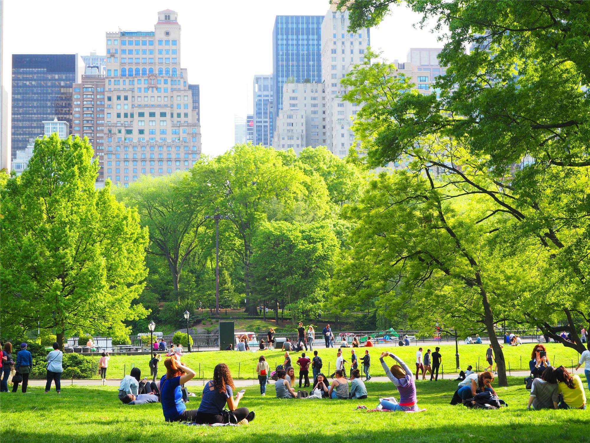 纽约的中央公园。 纽约的中央公园。