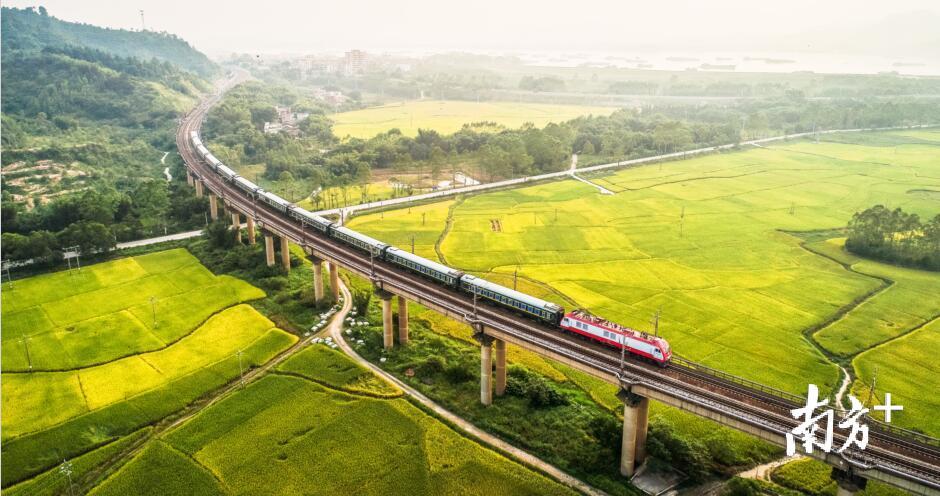 夕阳下，远处呼啸而来的列车穿过片片稻田，见证了清远丰收的金黄。图为飞来峡镇社岗村附近。