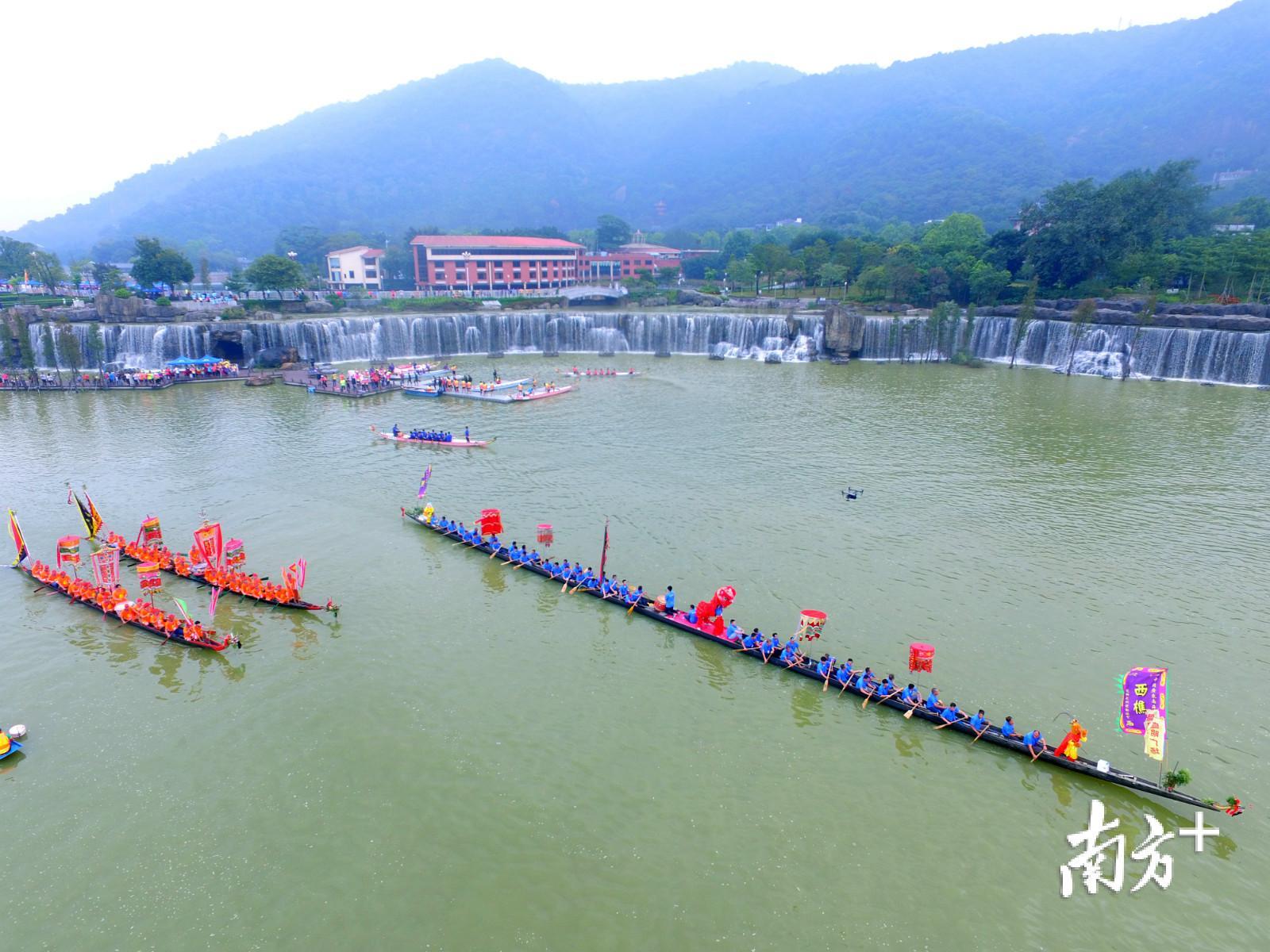 锦龙巡游。 锦龙巡游。