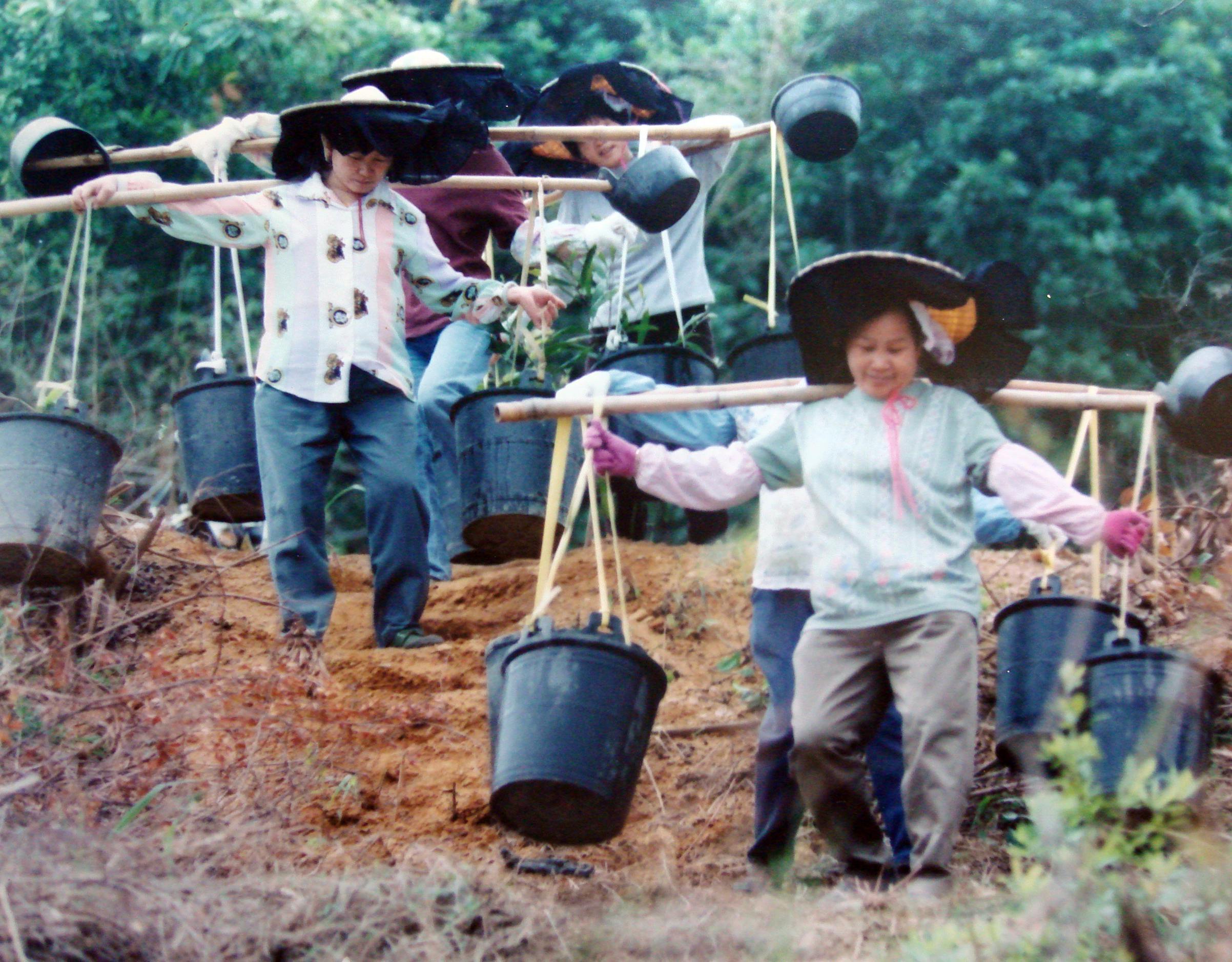 80年代中，村民主要从事农业生产为主