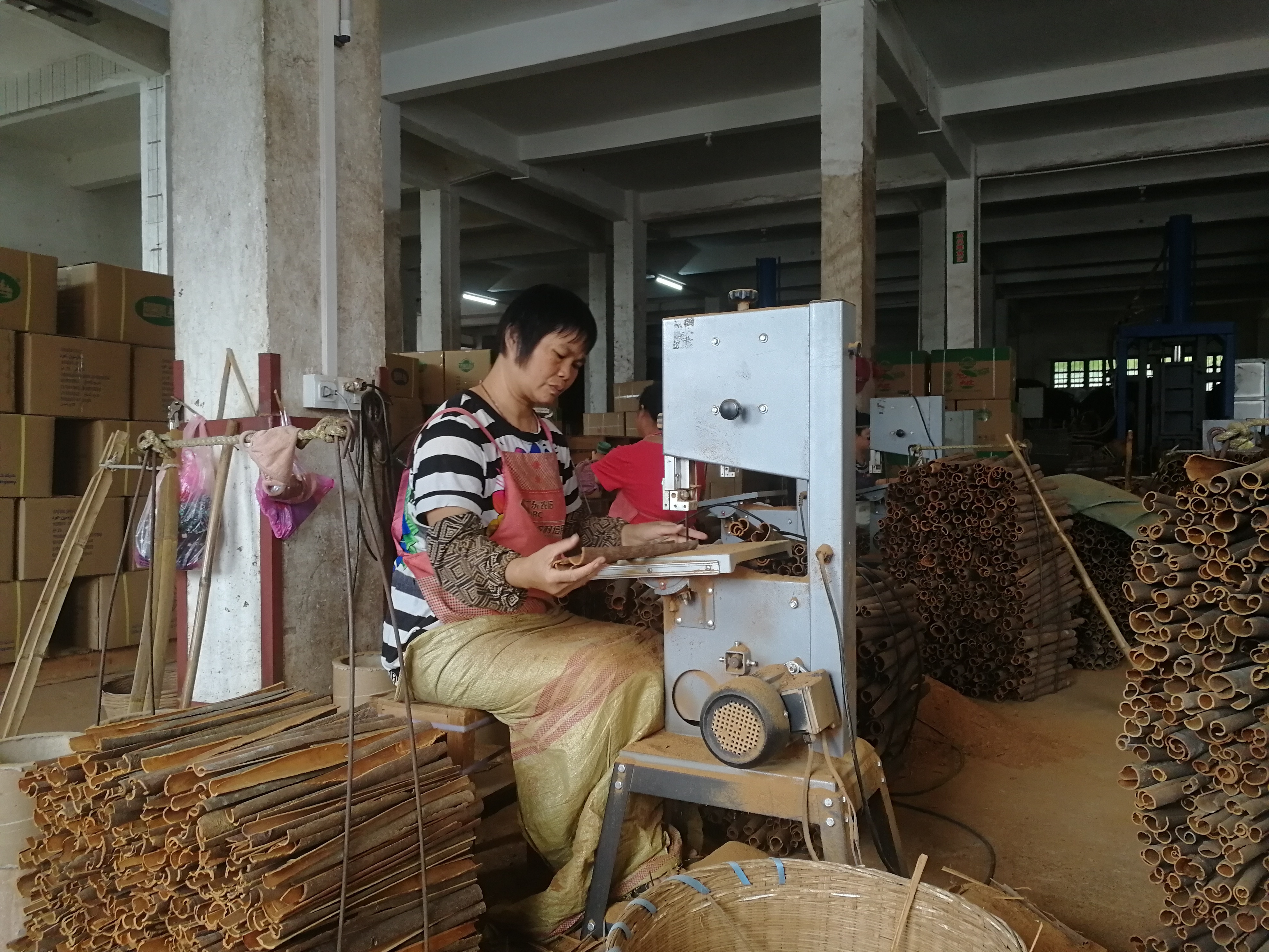 罗定市浩源肉桂合作社内,工人们在加工肉桂切片(张子俊摄) 罗定市浩源肉桂合作社内,工人们在加工肉桂切片(张子俊摄)