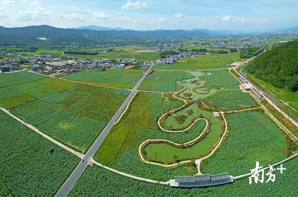 不少专家认为，生态宜居的生活环境是梅州老人的“长寿密码”之一。（南方日报记者 何森垚 摄）