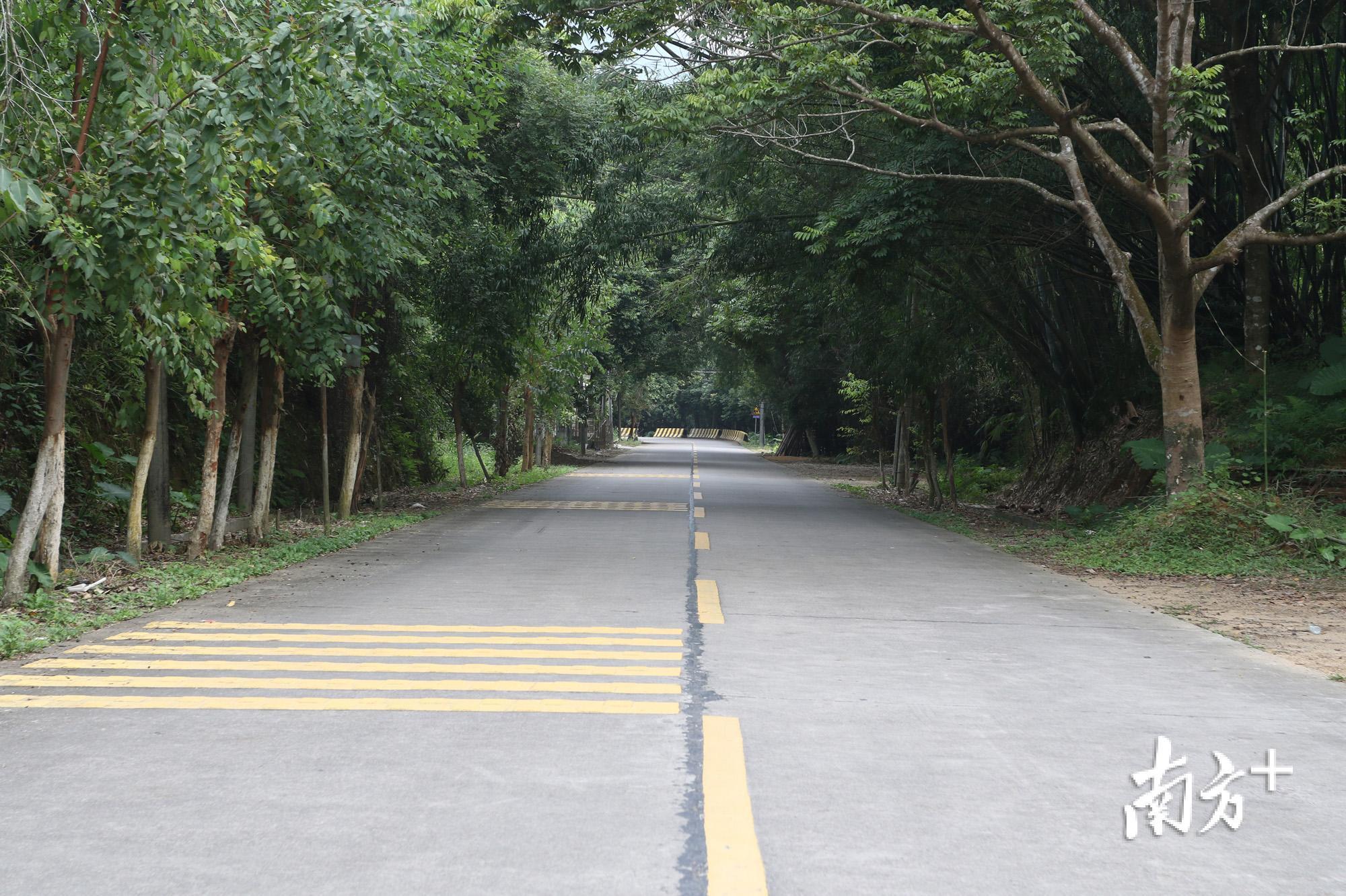 “四好农村路”县道X073铺头至白藤坑路段。