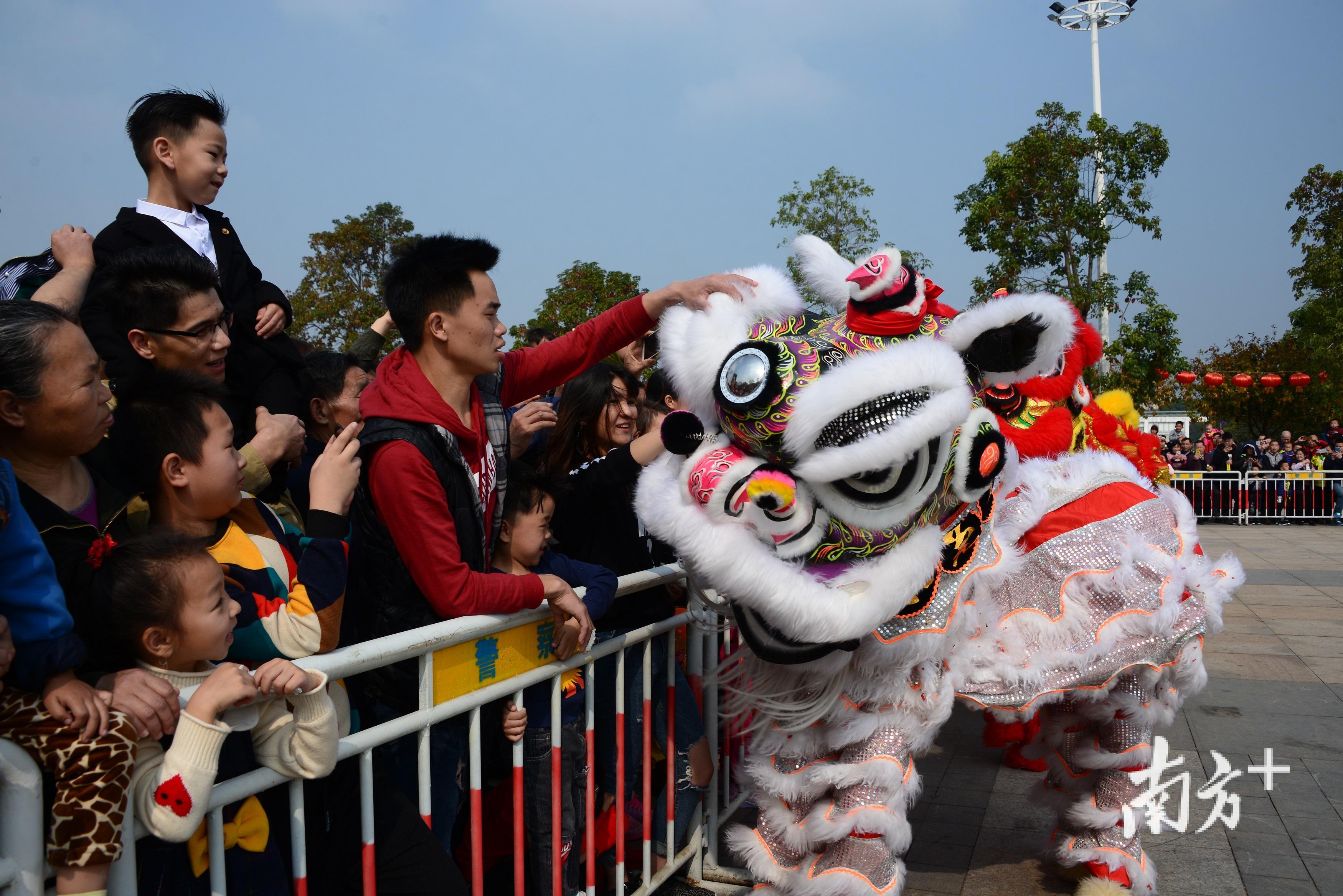 东莞醒狮造型威猛、色彩斑斓，深受市民的喜爱。（受访者供图）