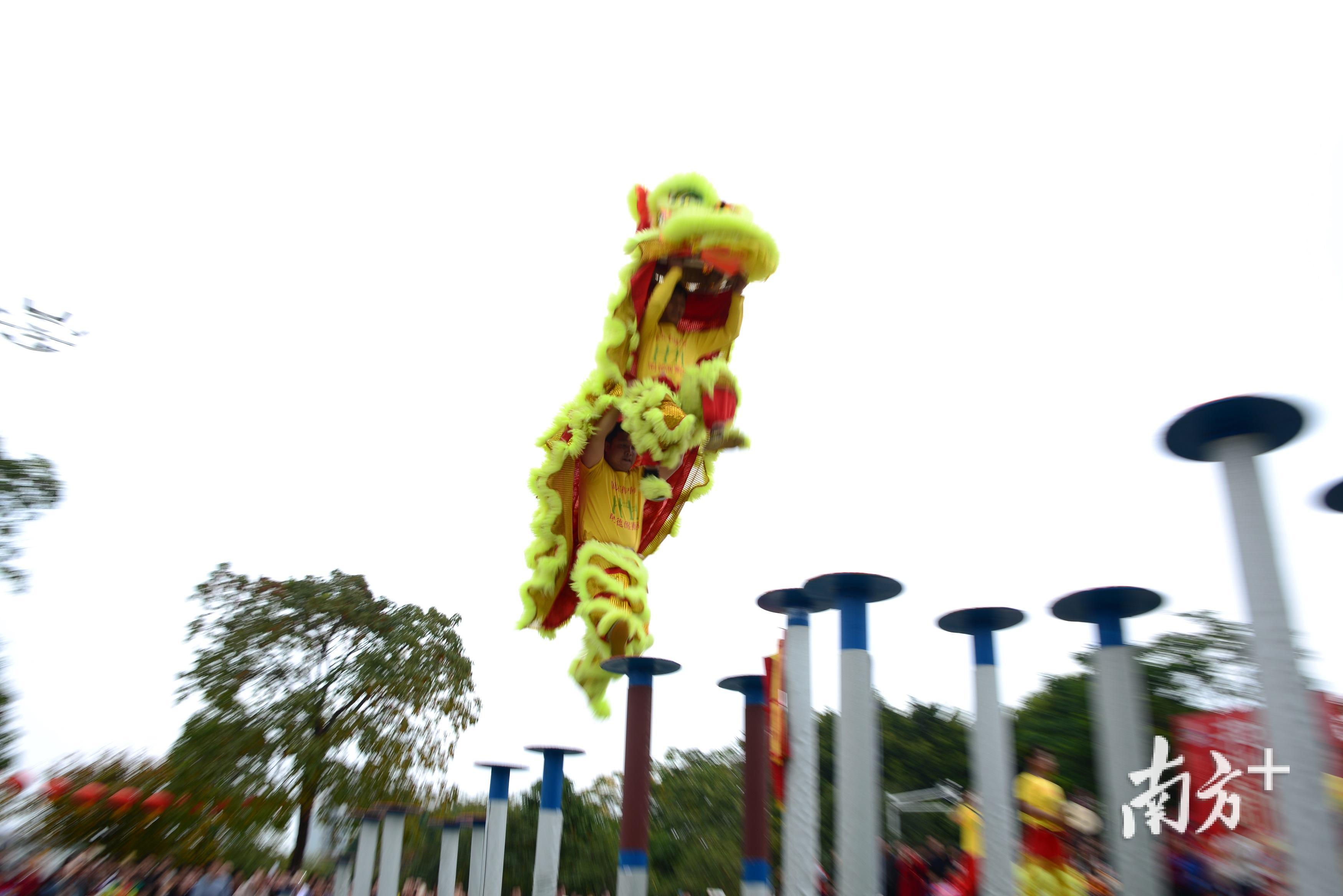 明德醒狮队的特色节目“醒狮飞高桩”。（受访者供图）