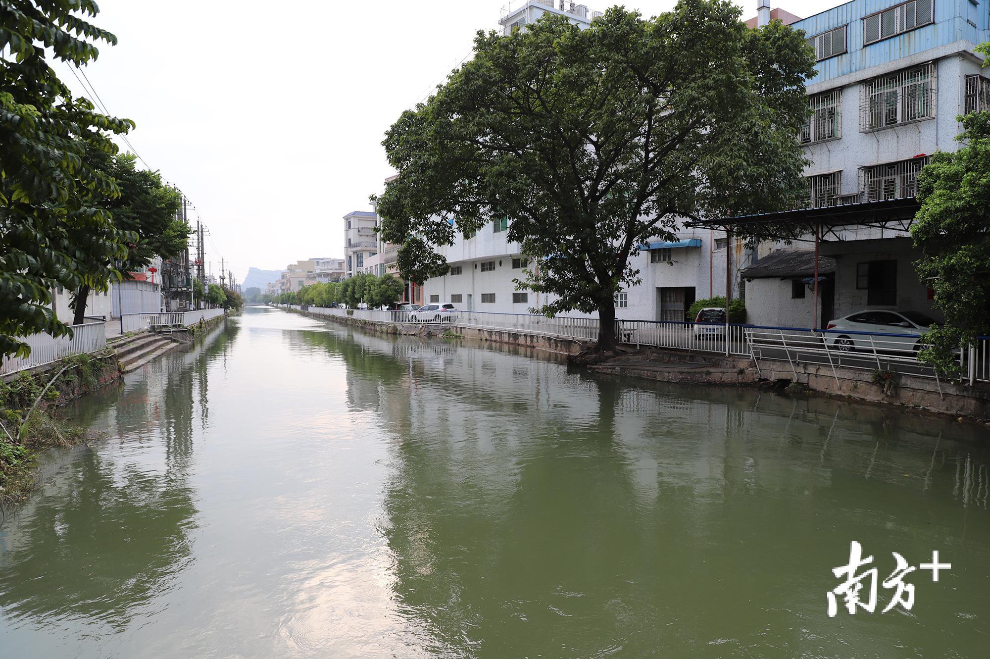 南干渠霞露溪段溪水清澈。 南干渠霞露溪段溪水清澈。