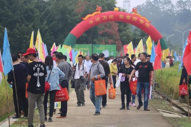 绿色崛起：兴宁造林绿化事业的发展与展望