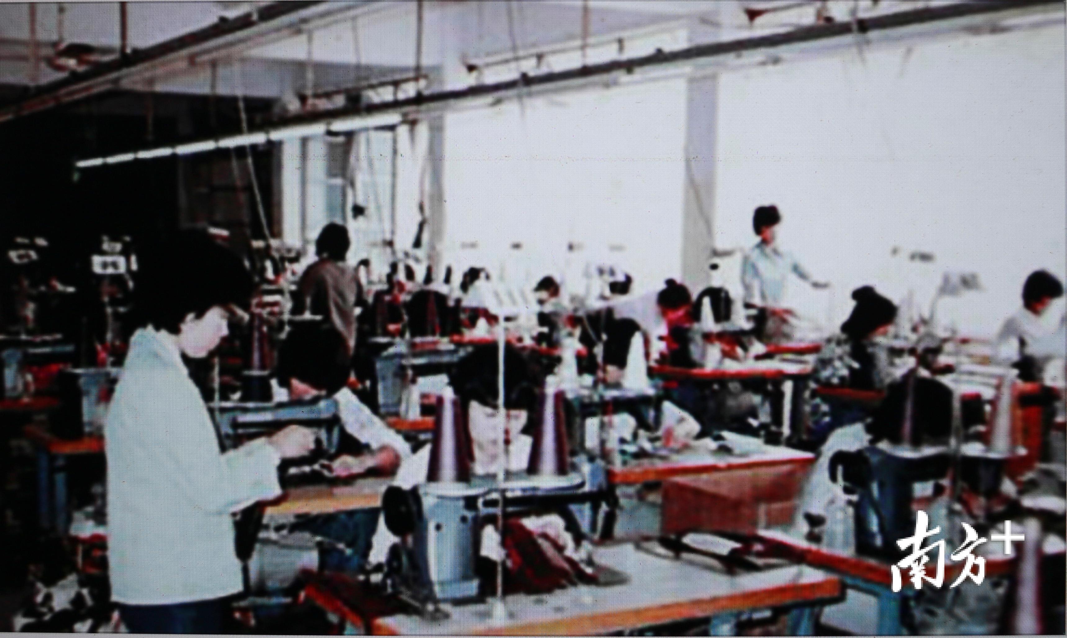 东莞办起的全国首家“三来一补”的企业太平手袋厂旧时资料图片。