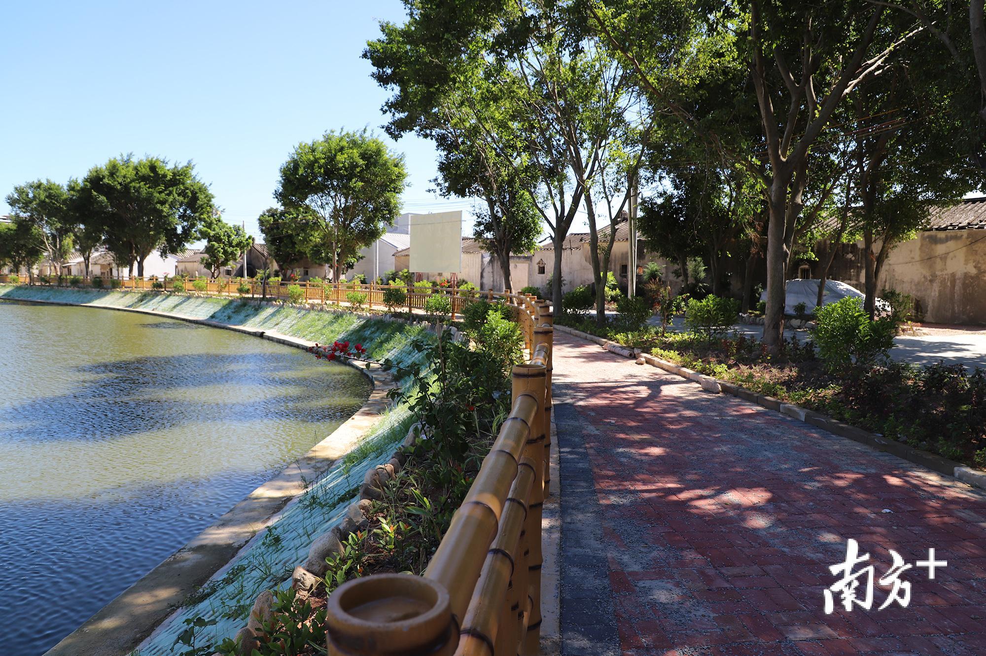 码头池栈道修缮一新。 码头池栈道修缮一新。