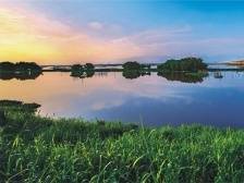 惠州市政协常委张广深：统筹推进潼湖国家湿地公园建设