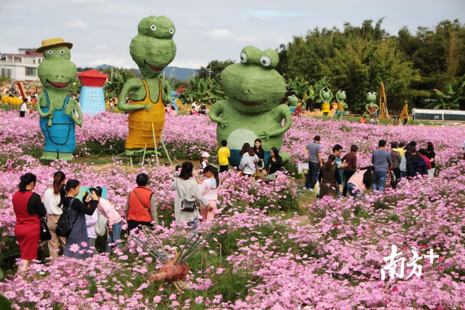 视频品美食赏花海听音乐会第三届广州西塘稻草艺术节正式开幕