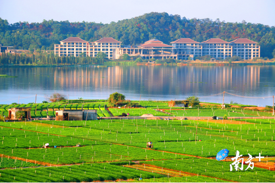 企石水墨东丫湖 企石水墨东丫湖