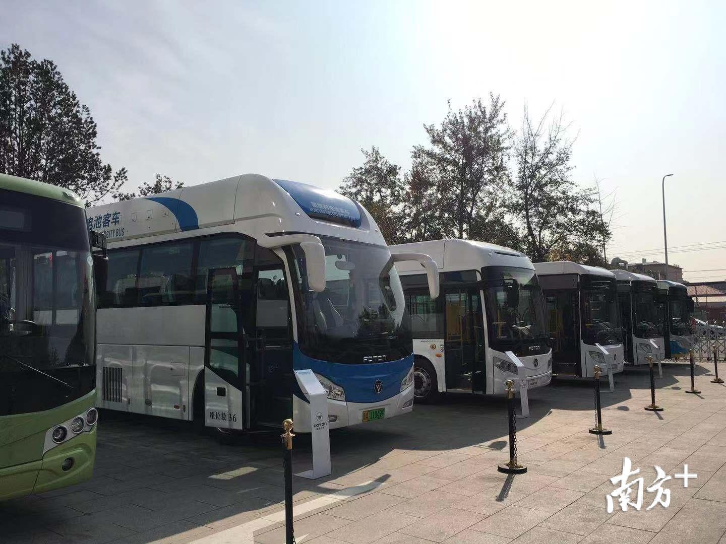 5辆氢燃料电池客车在北京公交384路投入运营。王芃琹 摄 5辆氢燃料电池客车在北京公交384路投入运营。王芃琹 摄