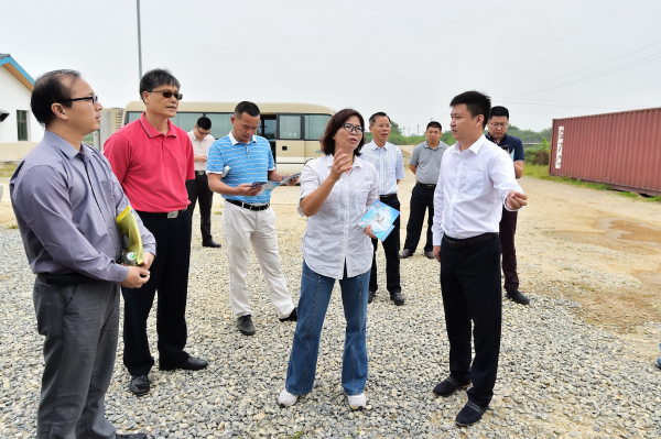 11月7日，三水区政协主席何绮红带领督办组前往佛山三水鲌鱼养殖基地实地调研视察。