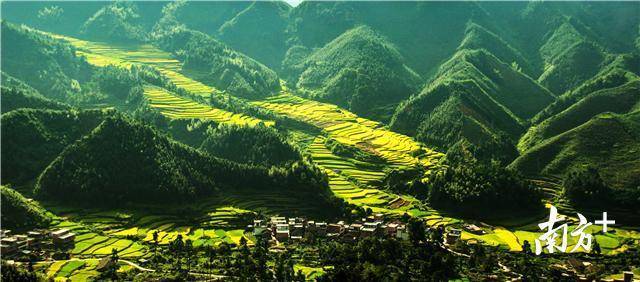 雾山梯田 雾山梯田