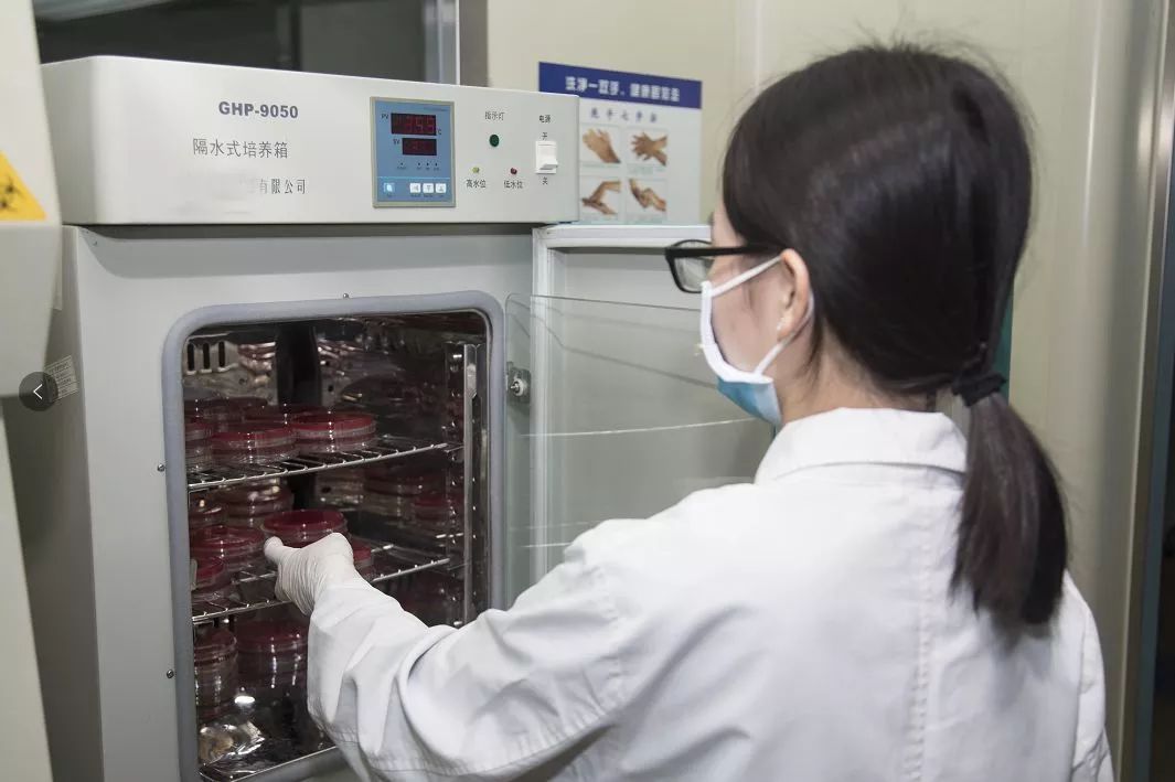 培养基【充足的营养:食物残渣和油脂】我们人体肠道传播疾病的微生物