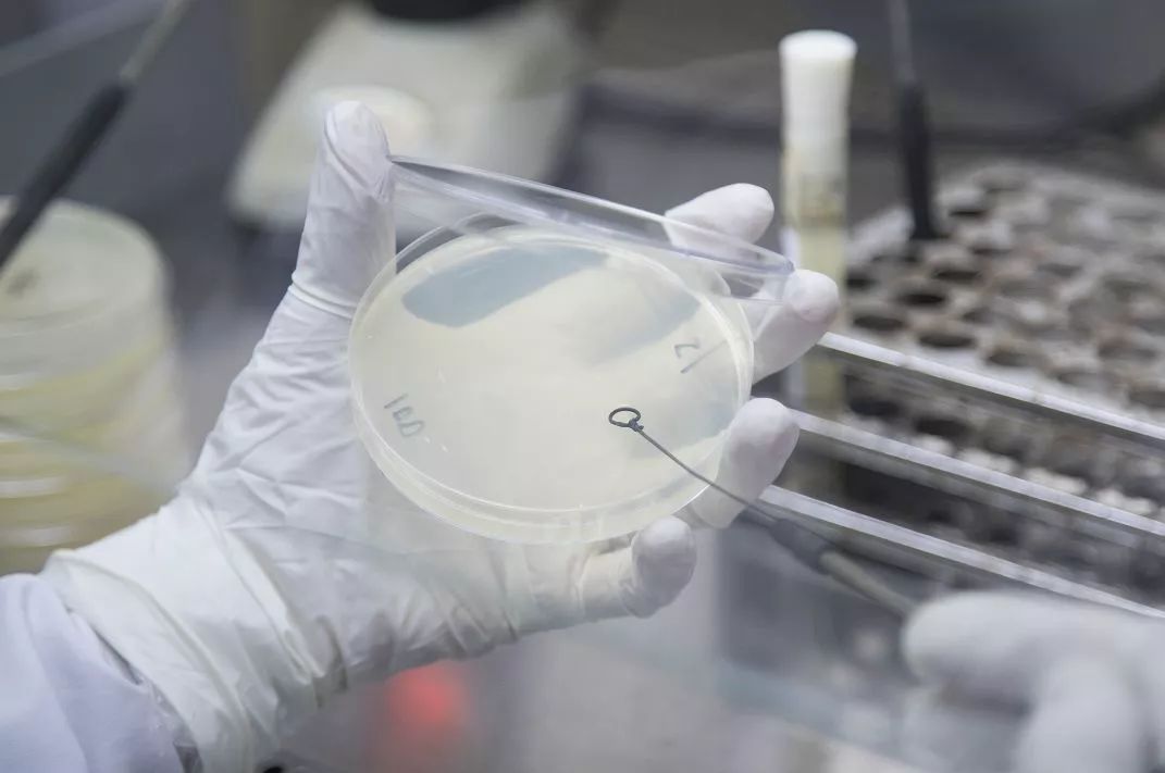 这样做你以为会干净却培养了十亿细菌